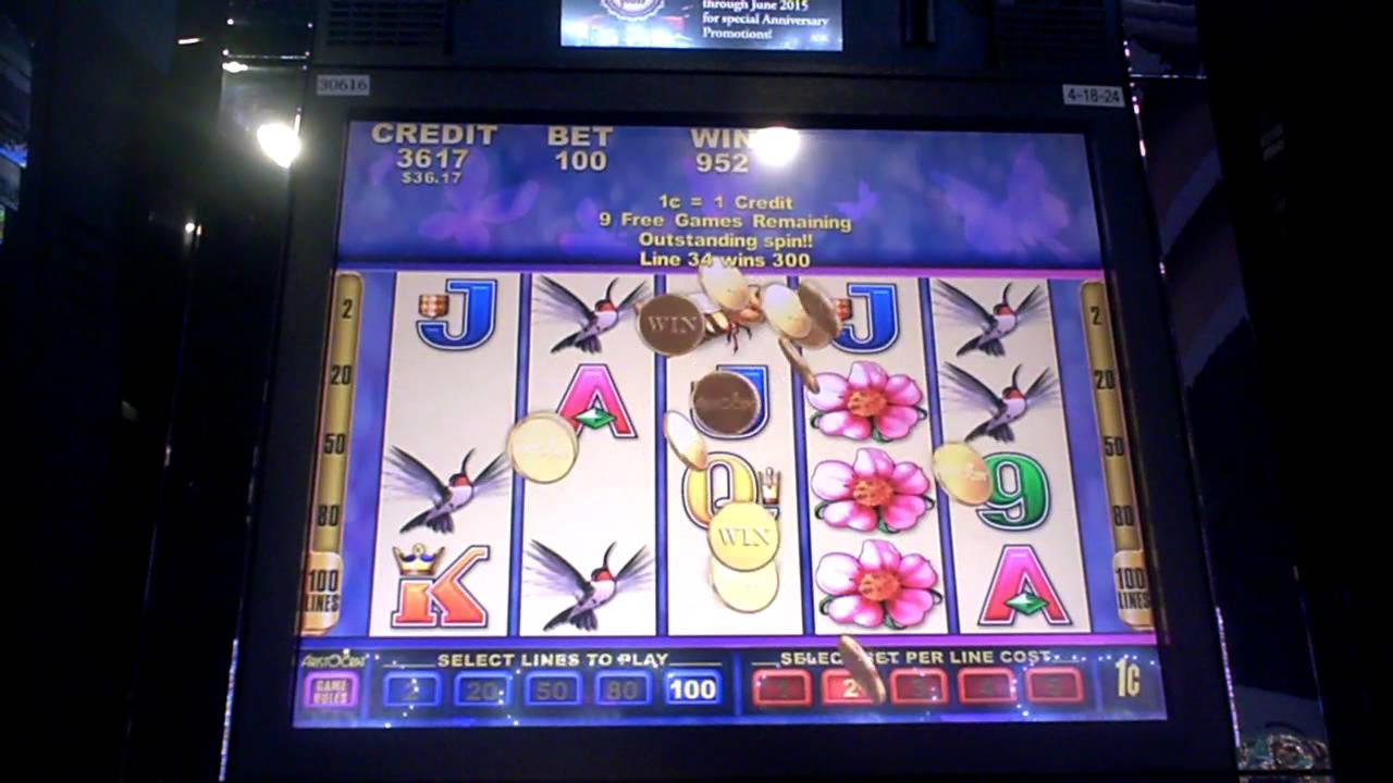 550% Match bonus på YoYo Casino